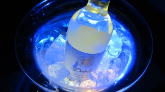 Glowing Champagne Tabletop Chiller