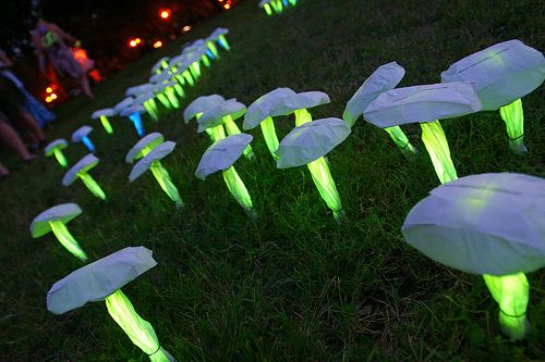 Glow Toadstools